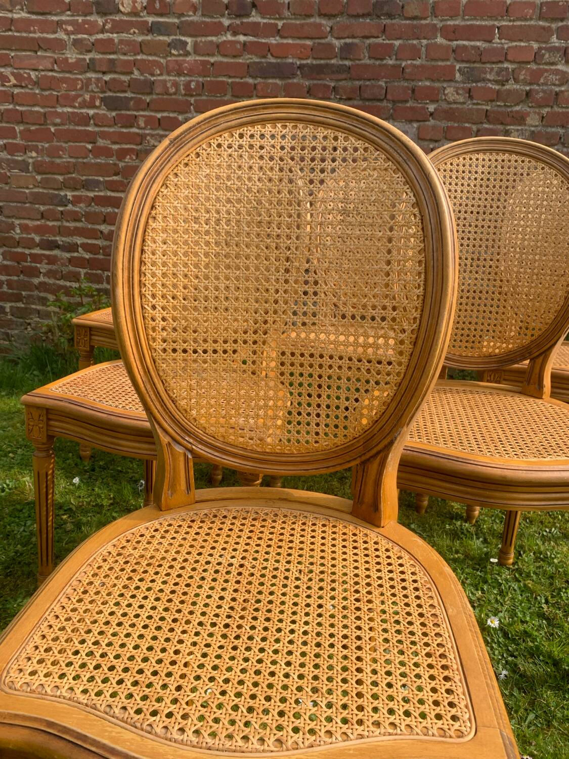 Set of 6 Louis XVI style cane medallion chairs