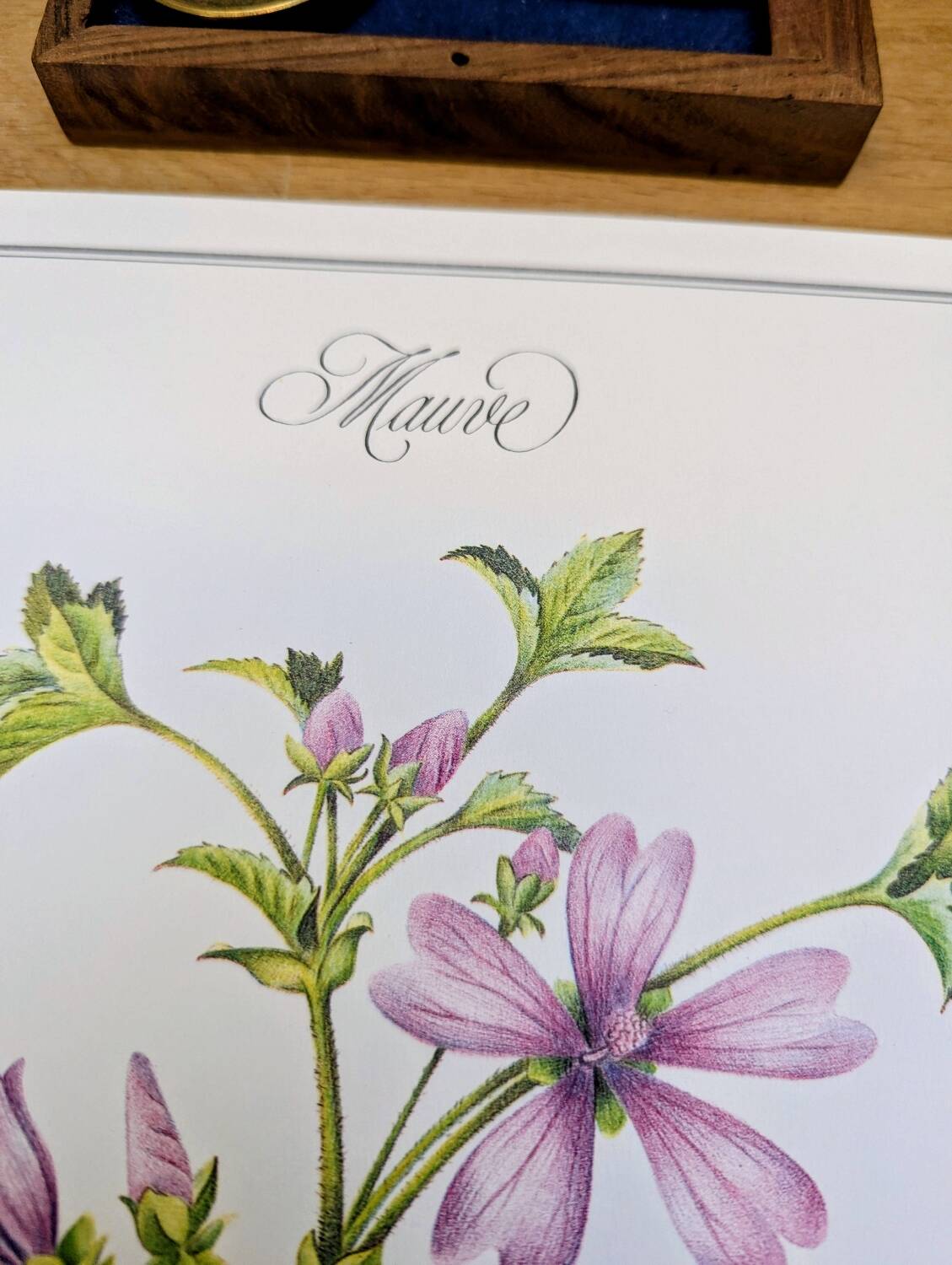Printed in 1986, the Mauve. Vintage Botany.