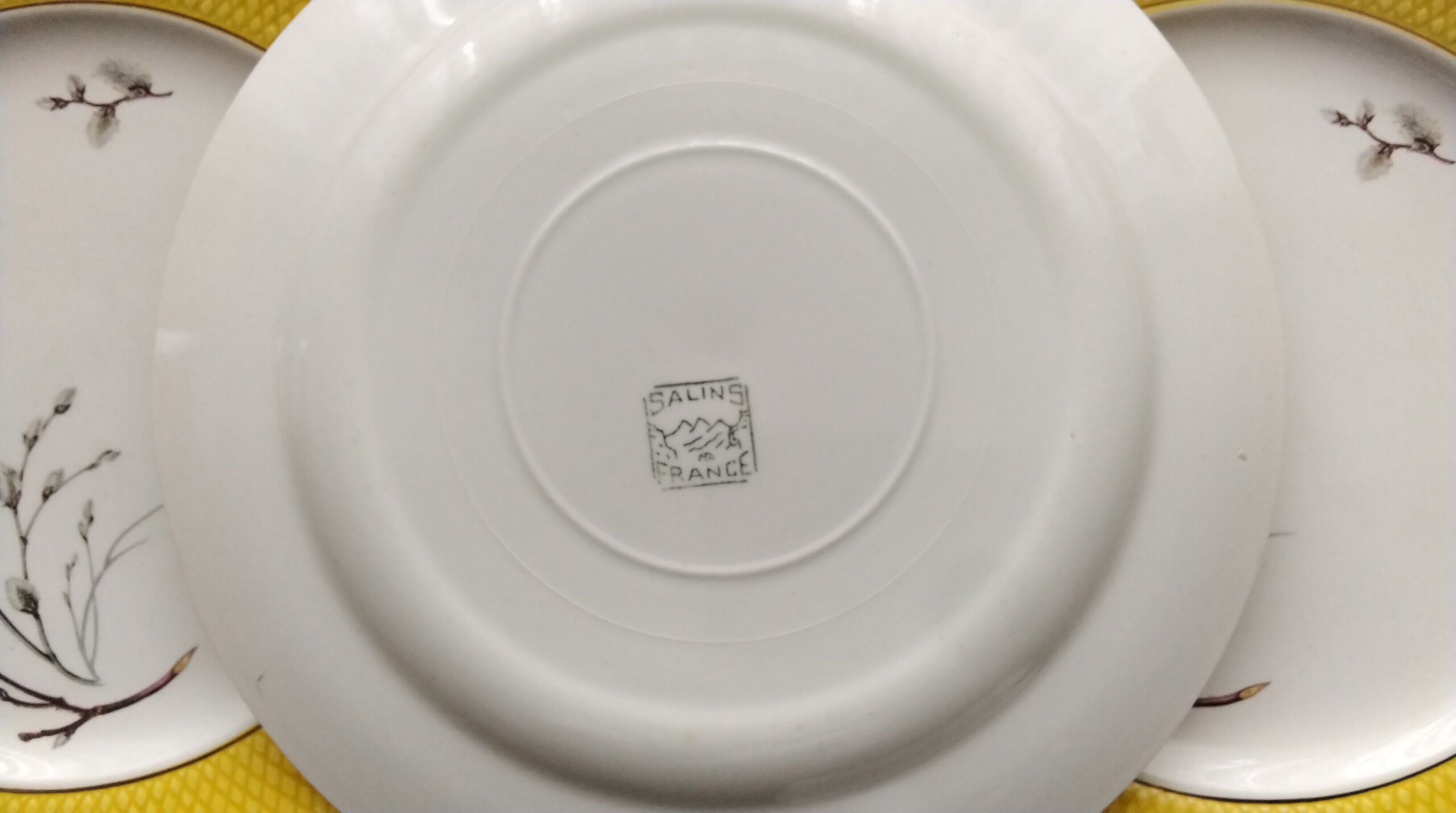 Set of 6 dessert plates Salins France