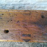 Established in oak, restored