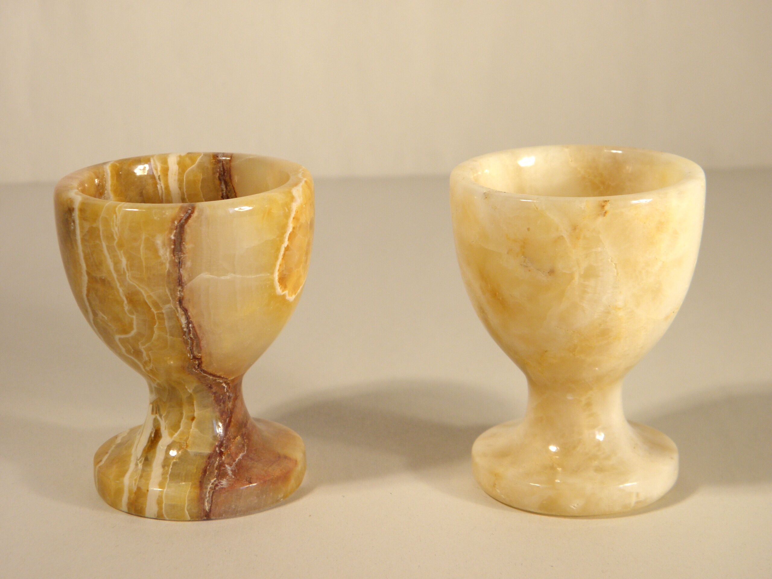 Two onyx cockroaches