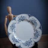 Lille Luneville olate