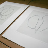 "Two Leaves" illustration