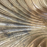 Empty pocket scallop shell