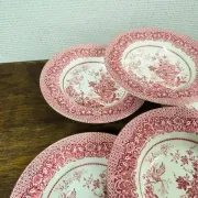 Set of 6 vintage English deep plates – Jardinière model