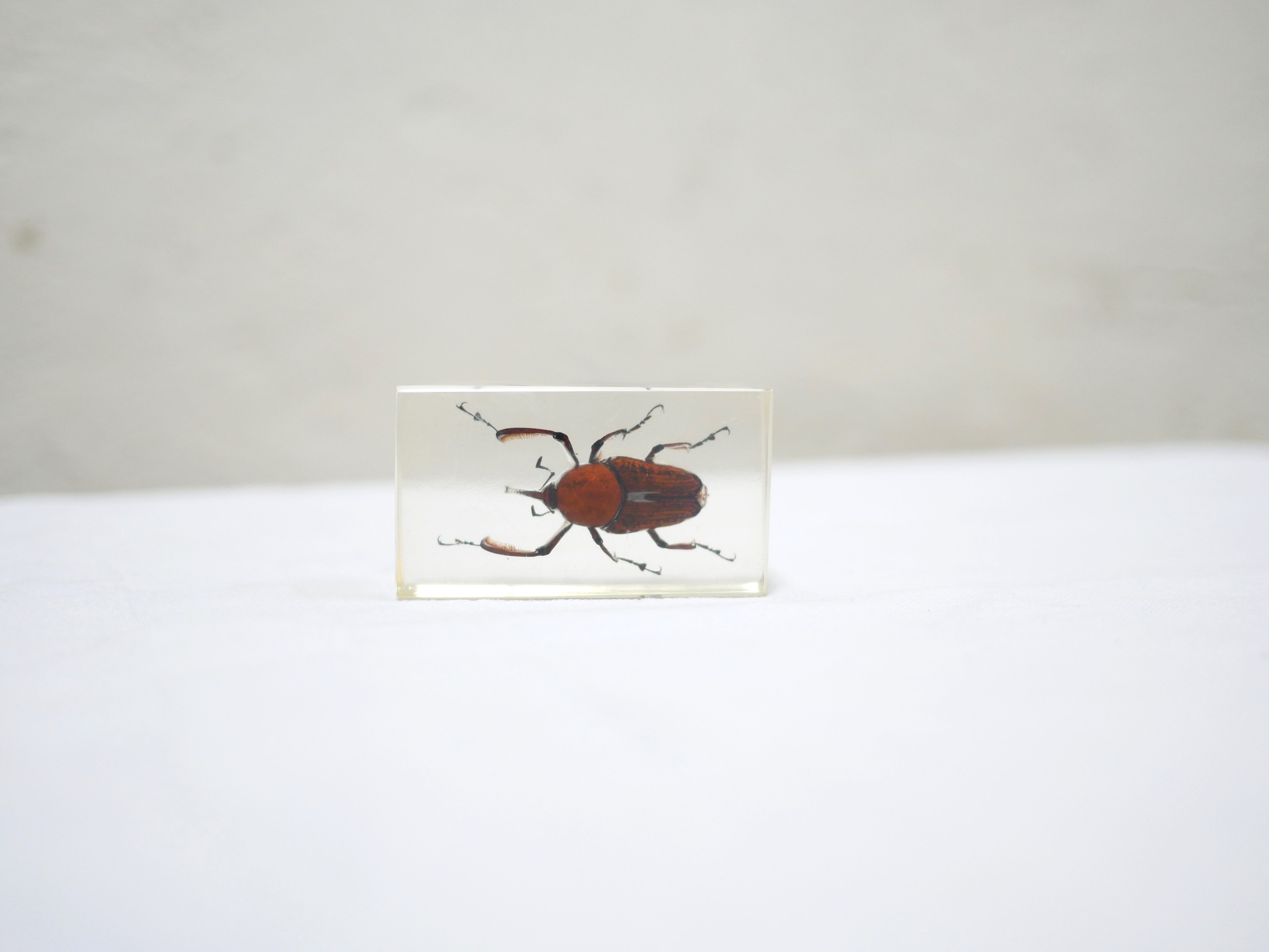 Vintage resin insect