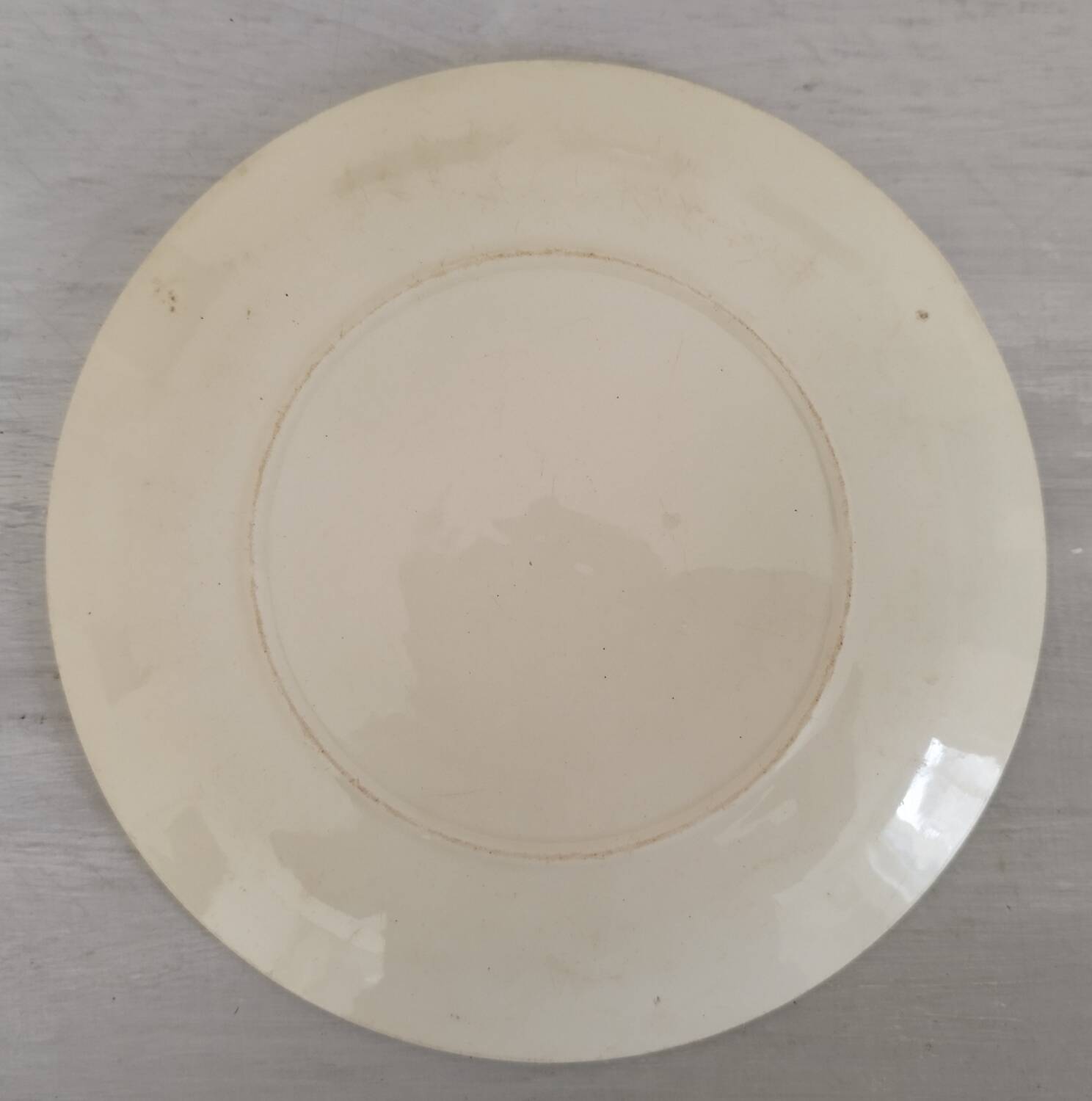 Antique Barbotine Plate Floral Decor and Green Foliage