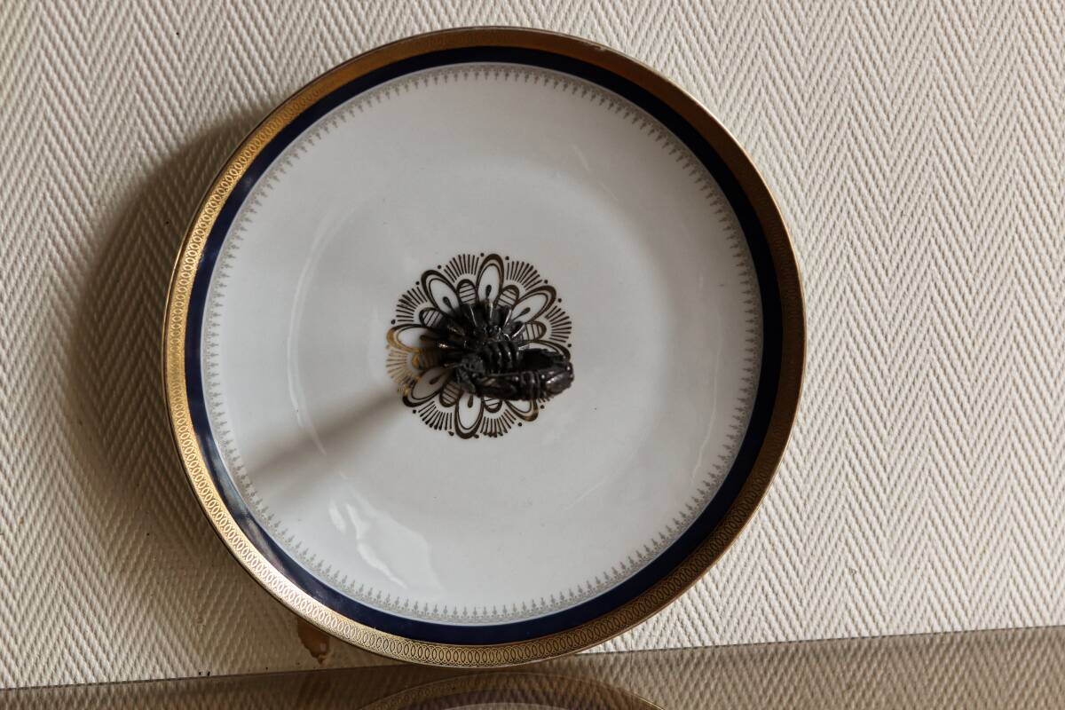 Servant bavaria wintering marktleuthen