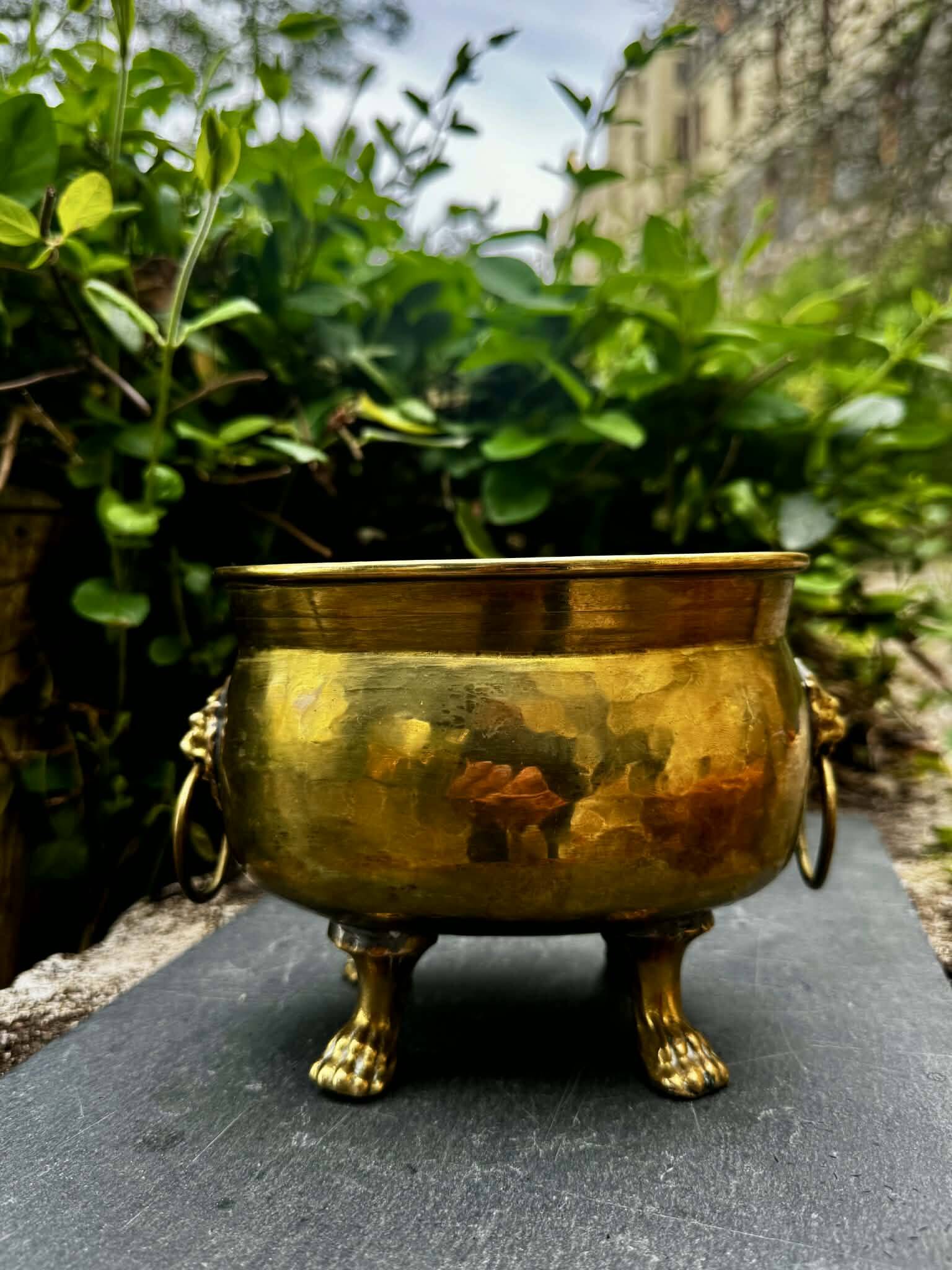 Baroque lion brass jardinière
