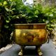 Baroque lion brass jardinière