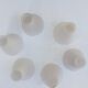 Pair of arum sconces edition Lunel Paris 50s