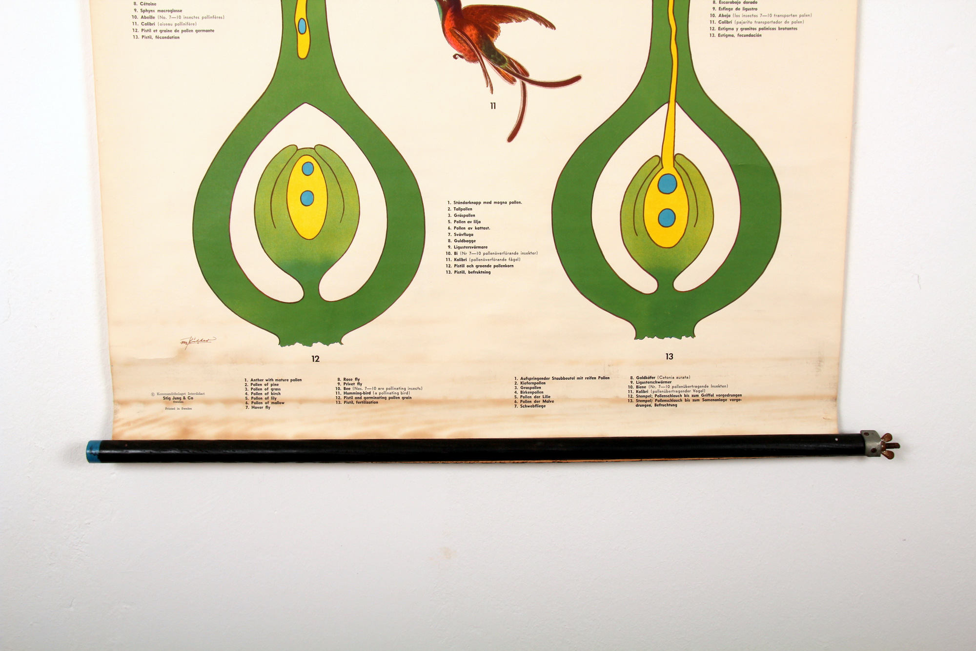 Poster pollination Stig Jung, Sweden 1960