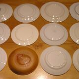 Set of 12 different flat plates