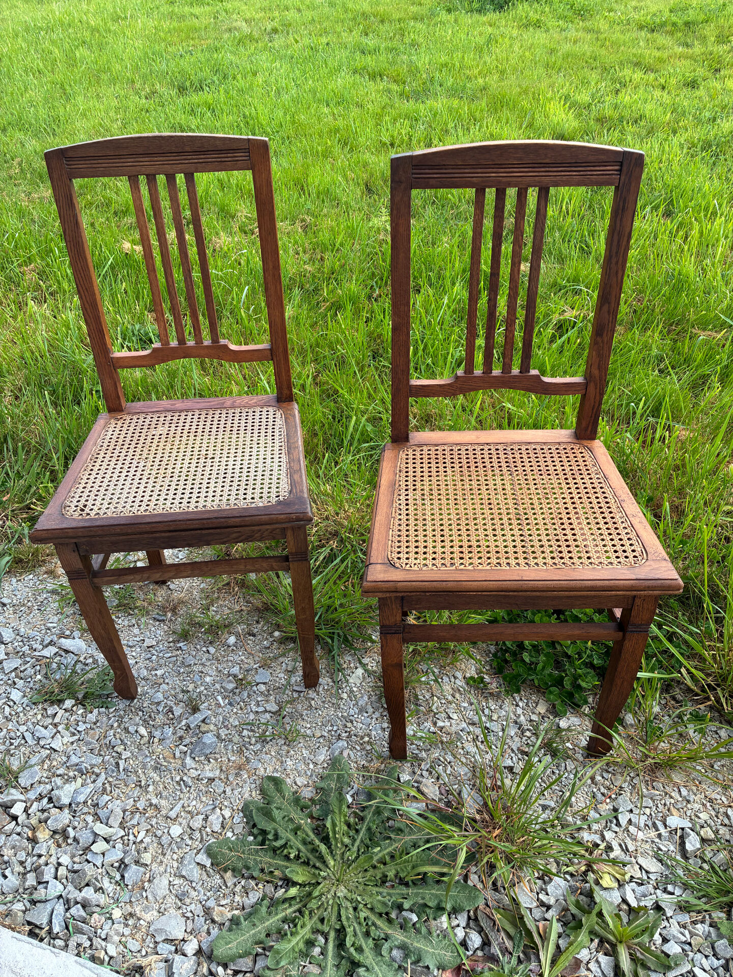 Art Nouveau chair pair
