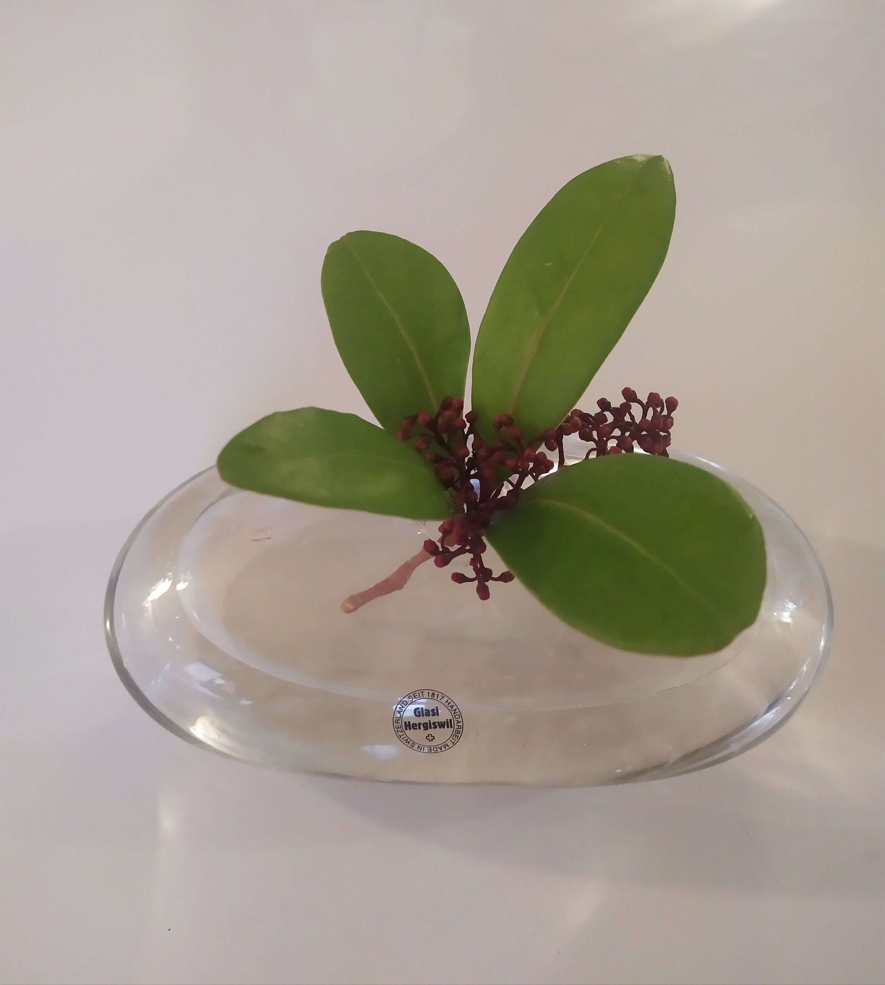 Vase Glasi Hergiswil