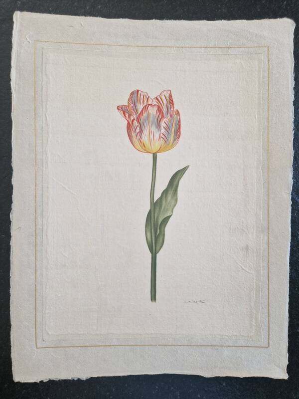 La Roche Laffitte (Born in 1943) - Watercolour drawing on silk - Tulip