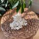 ancient white coral