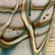 Blown glass vase