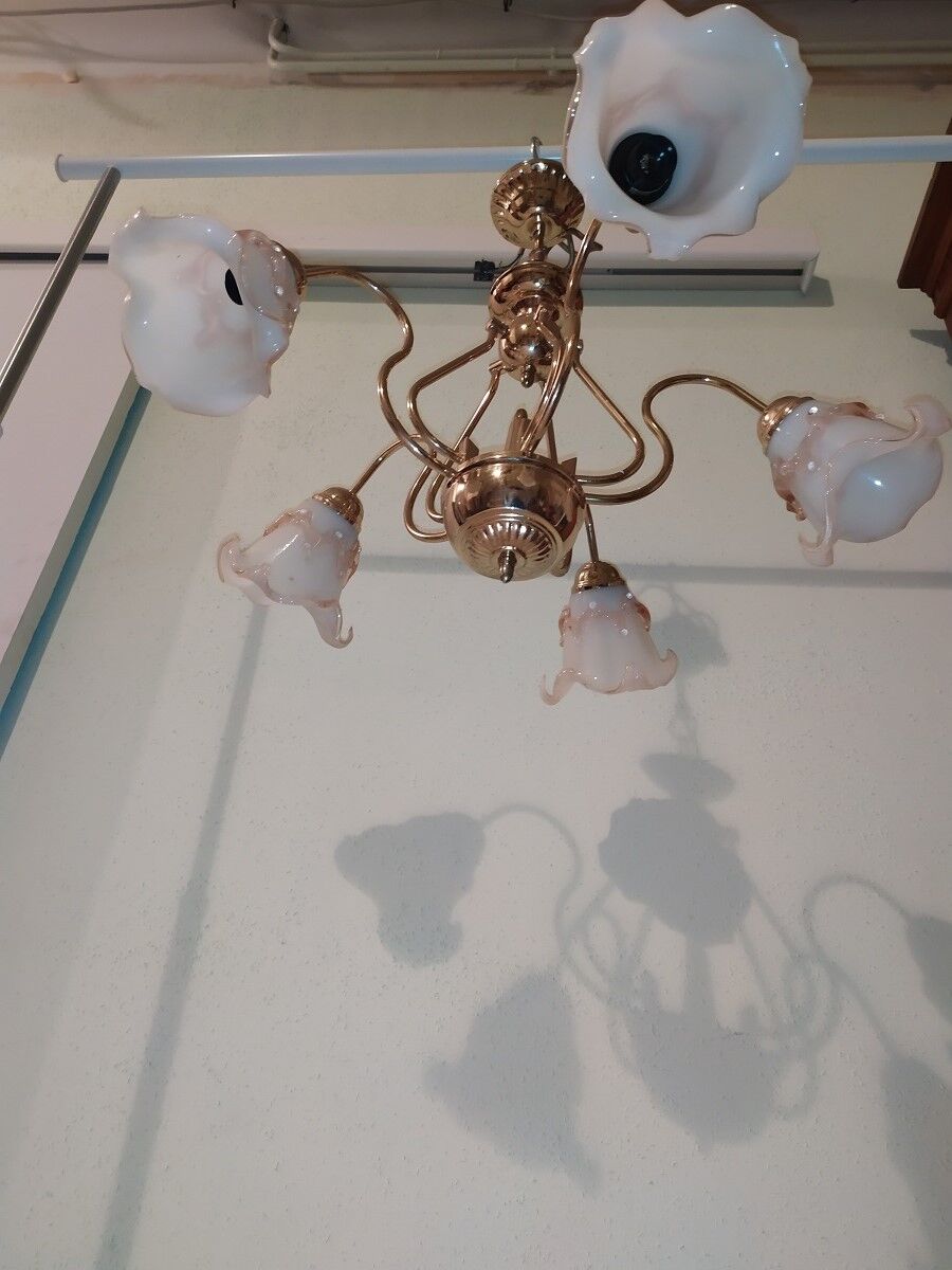 Glossy tulip swan collar chandelier with 5 golden arms