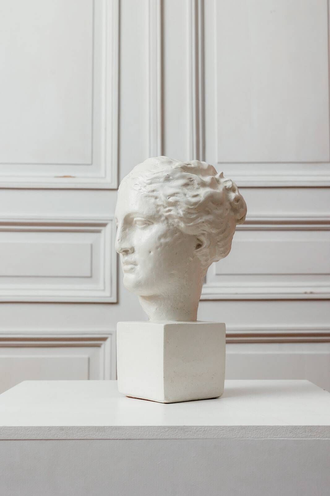 Female bust reproduction of the head of Hygieia.