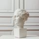 Female bust reproduction of the head of Hygieia.