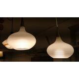 Double luminaire