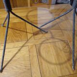 A pair of door plants