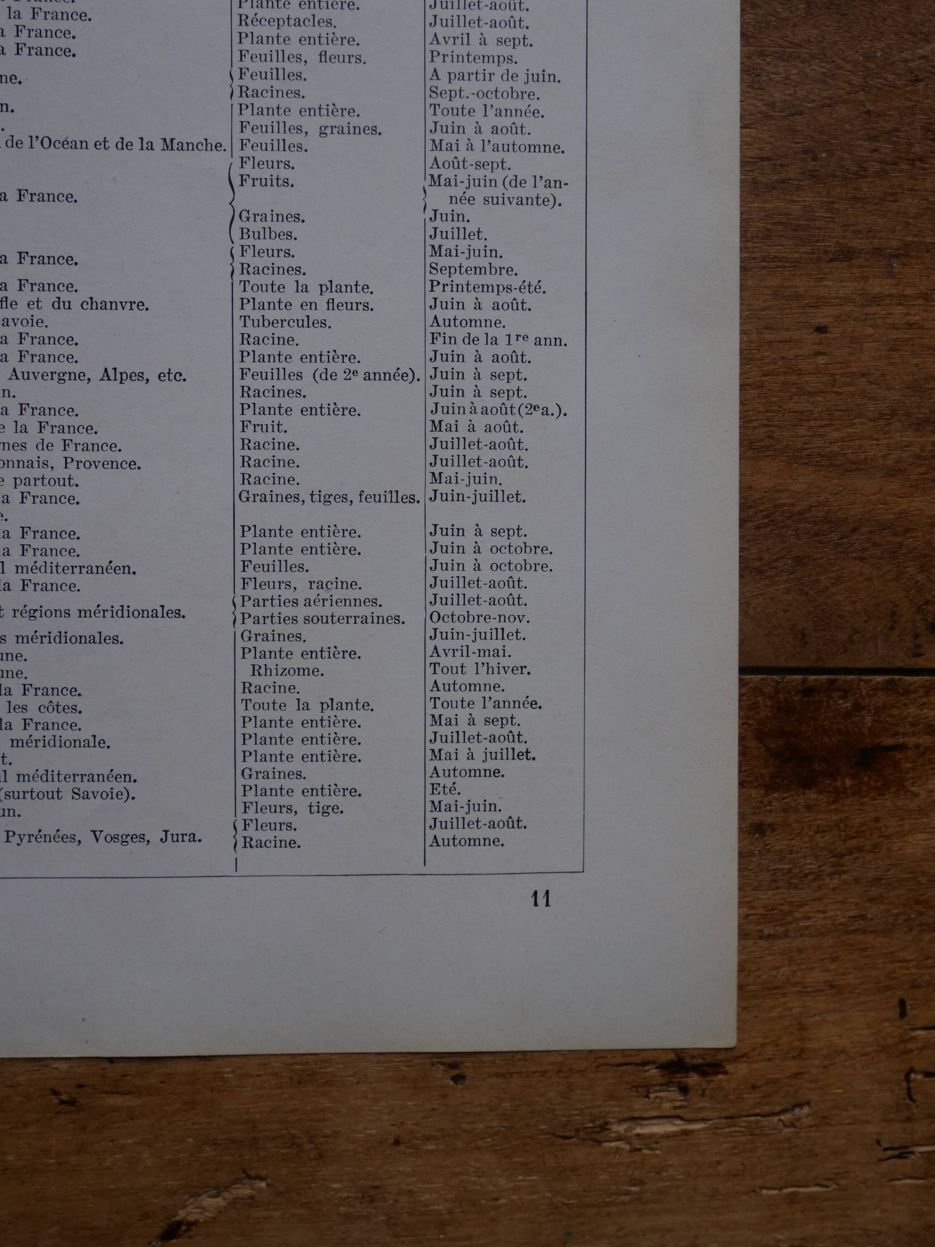 Original lithographs on medicinal plants