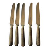 Set of 5 old knives with wooden handles