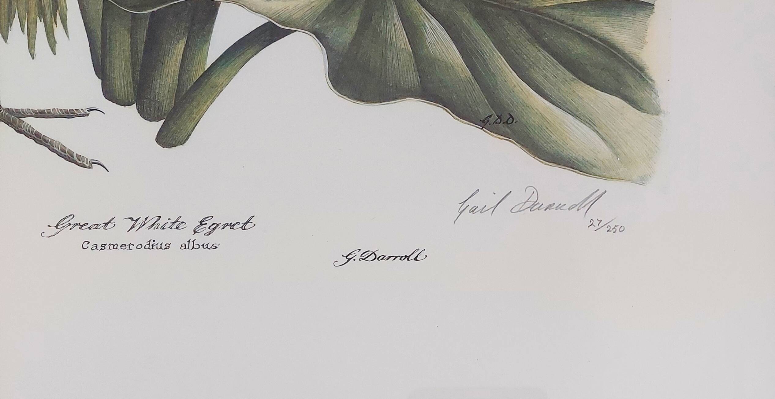 Pair of original lithographs signed in pencil by Gail Denise Darroll