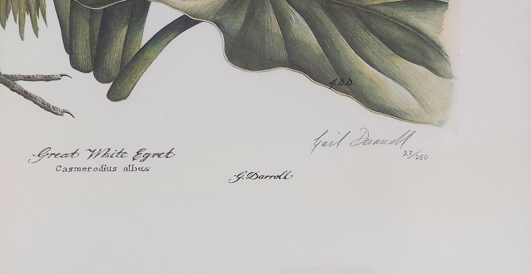 Paire de lithographies originales signées au crayon Gail Denise Darroll