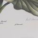 Paire de lithographies originales signées au crayon Gail Denise Darroll