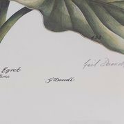 Paire de lithographies originales signées au crayon Gail Denise Darroll