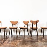 Model No. 124 Dining Chairs by Helena & Jerzy Kurmanowicz, 1960s, Poland, Set of 5