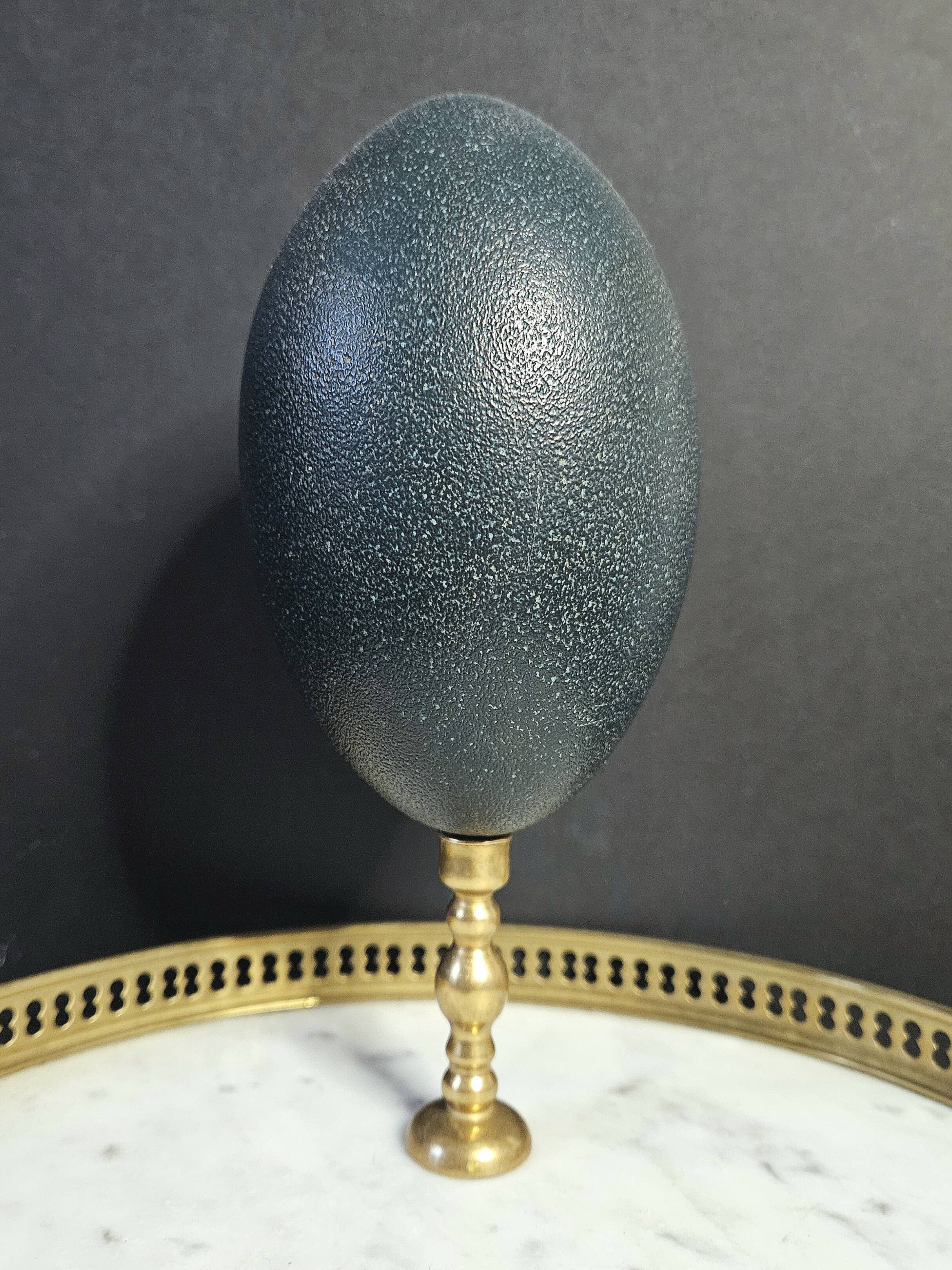 Emu Egg, Bronze Base (Early 20th century) H: 21 cm | Curiosity Collectible | PlaceOddity