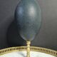 Emu Egg, Bronze Base (Early 20th century) H: 21 cm | Curiosity Collectible | PlaceOddity
