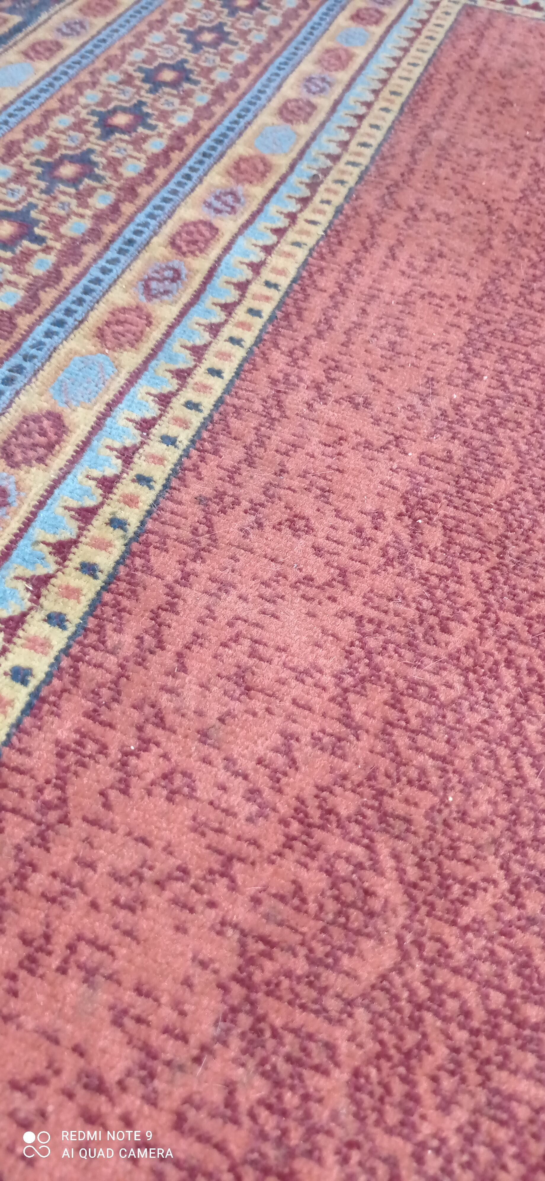 Carpets 230 x 160