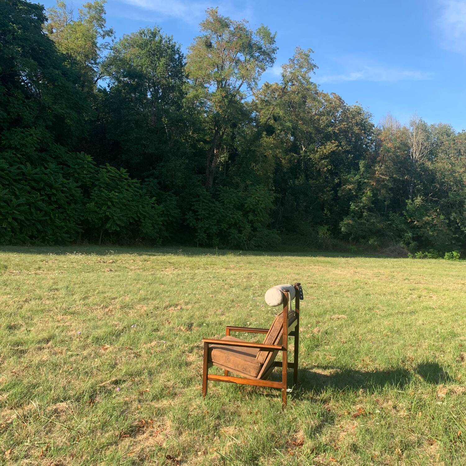 Brazilian rosewood armchair from the 60s, Tônico