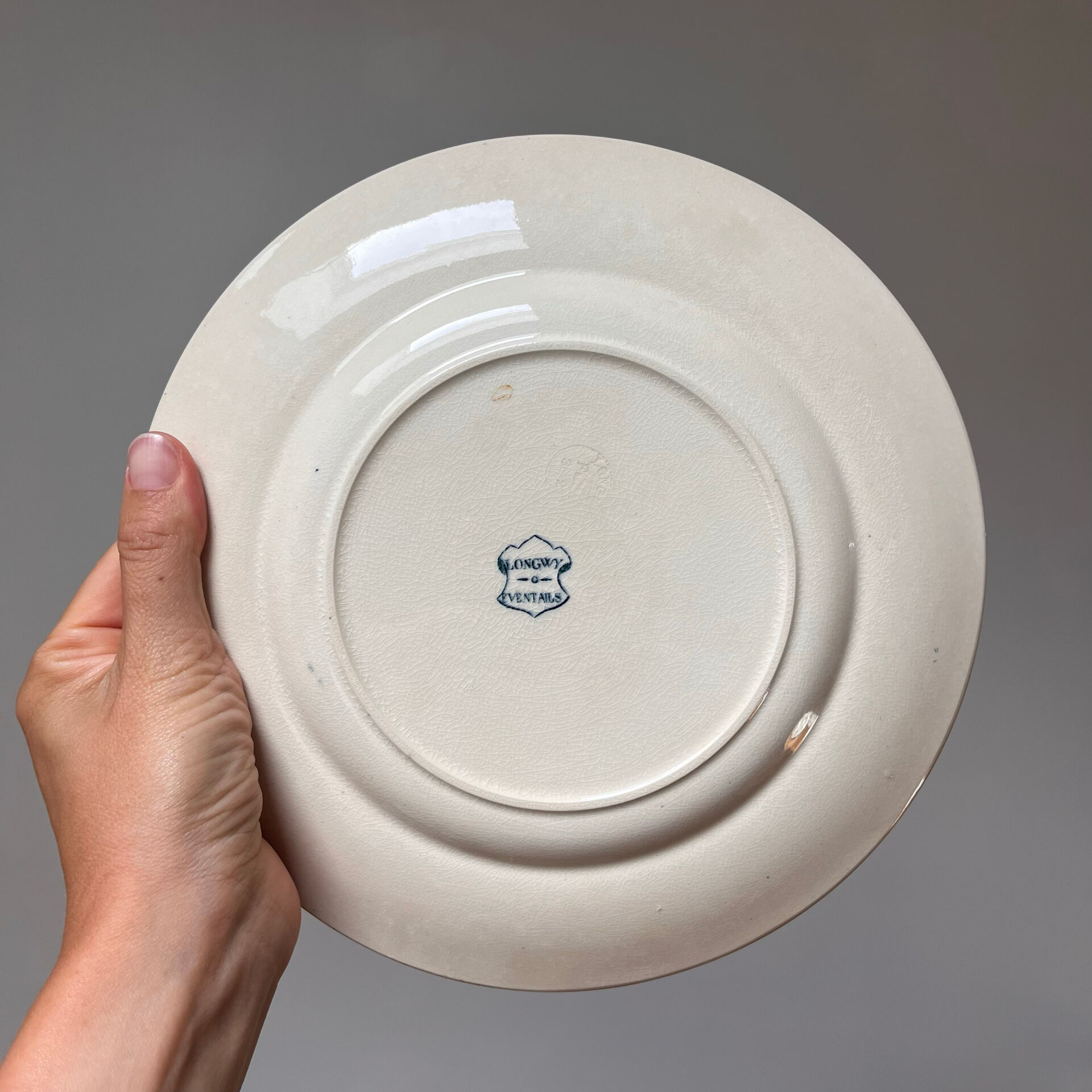 12 assiettes Terre de fer Longwy