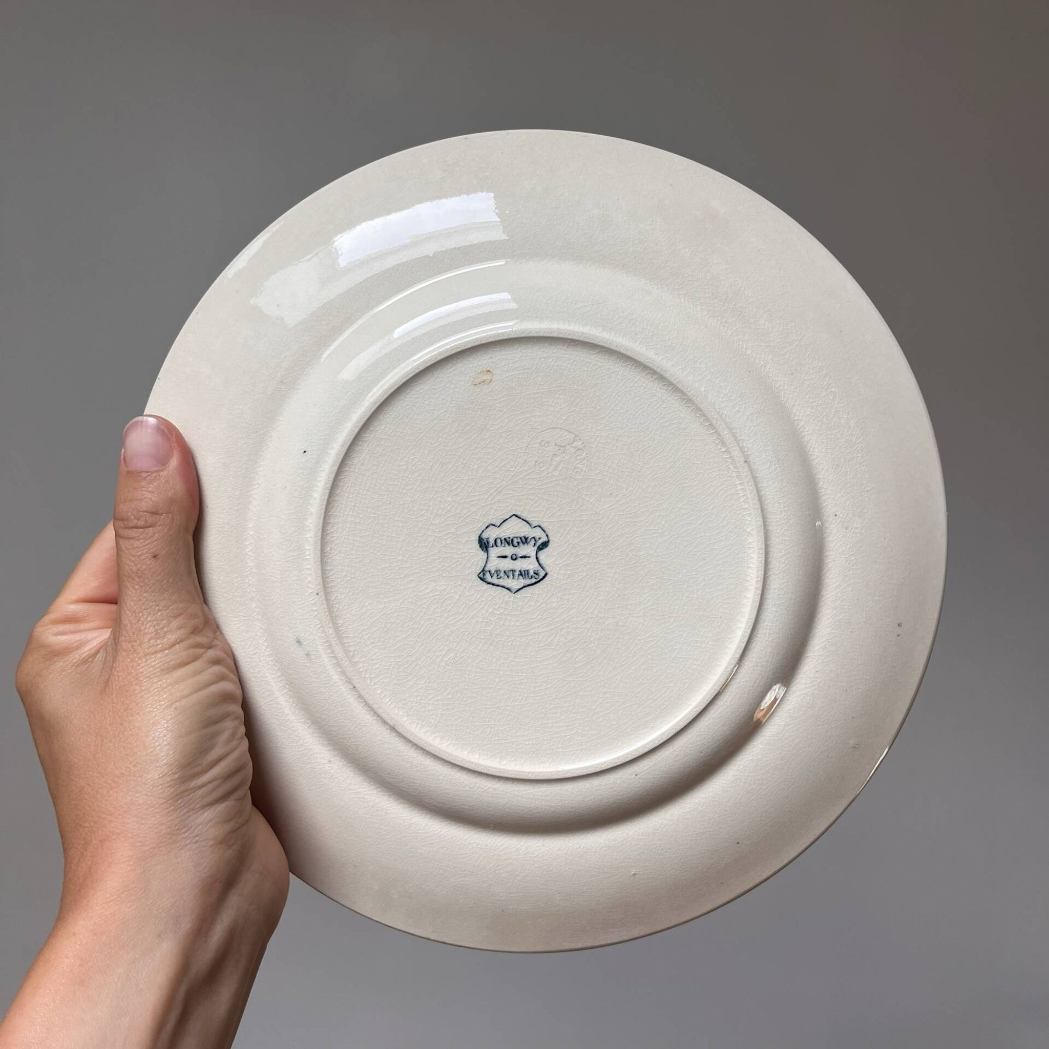 12 plates Terre de fer Longwy