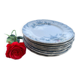 Set of 8 iron earthenware plates