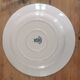 Iron earth dish