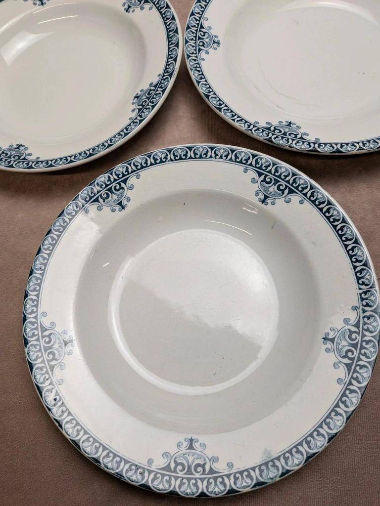 Set of 9 deep plates Terre de Fer St Amand model Andrinople