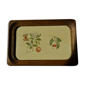 Wooden botanical tray