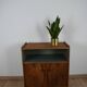 Buffet wood and green geko