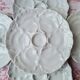 Nine Bavarian porcelain oyster plates