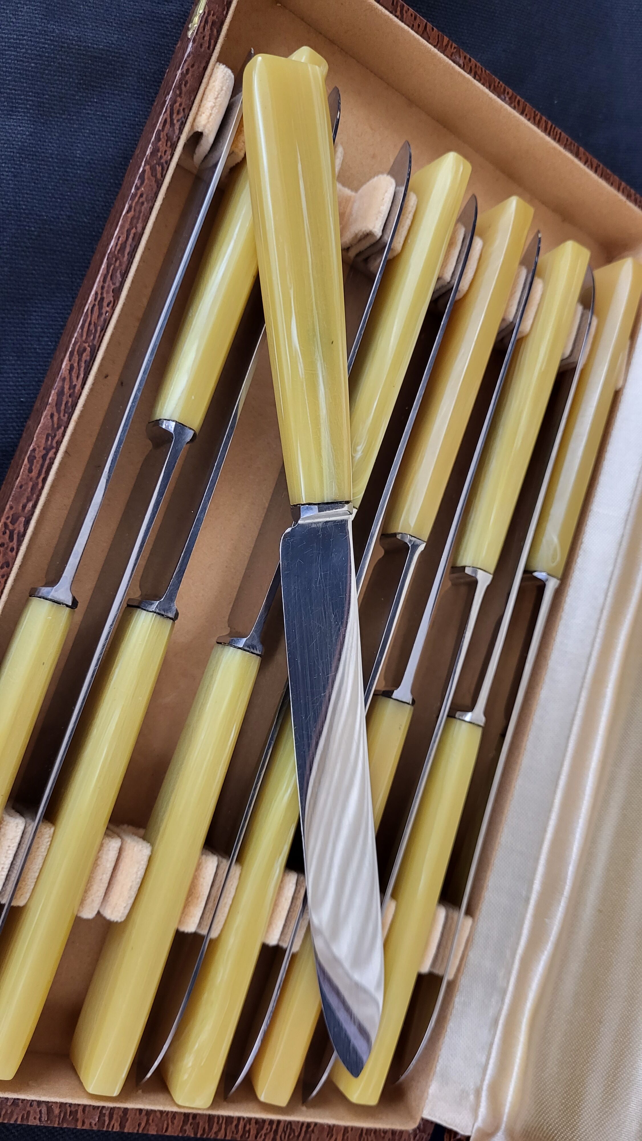 Set of 12 Bakelite stainless steel knives