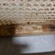 Chaise bistrot Thonet ancienne