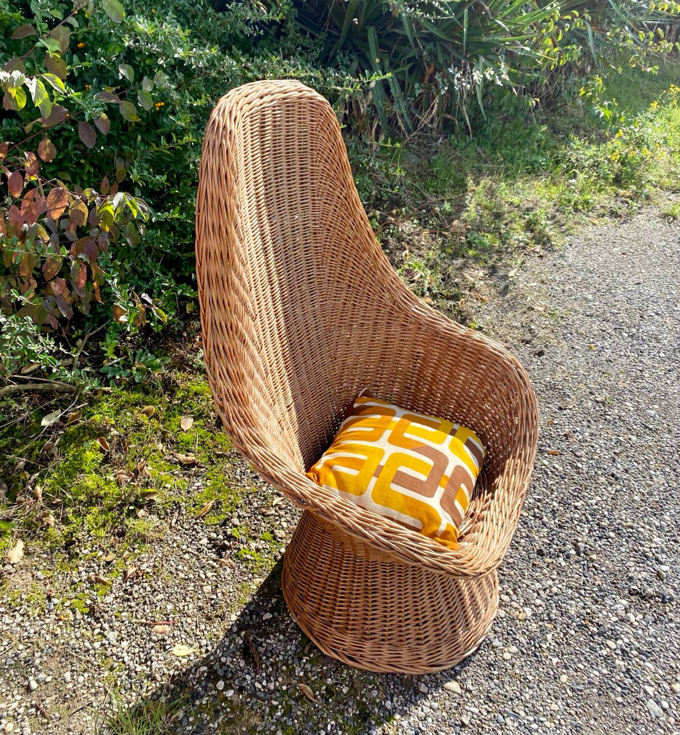 Rattan armchair and its cushion, 1960