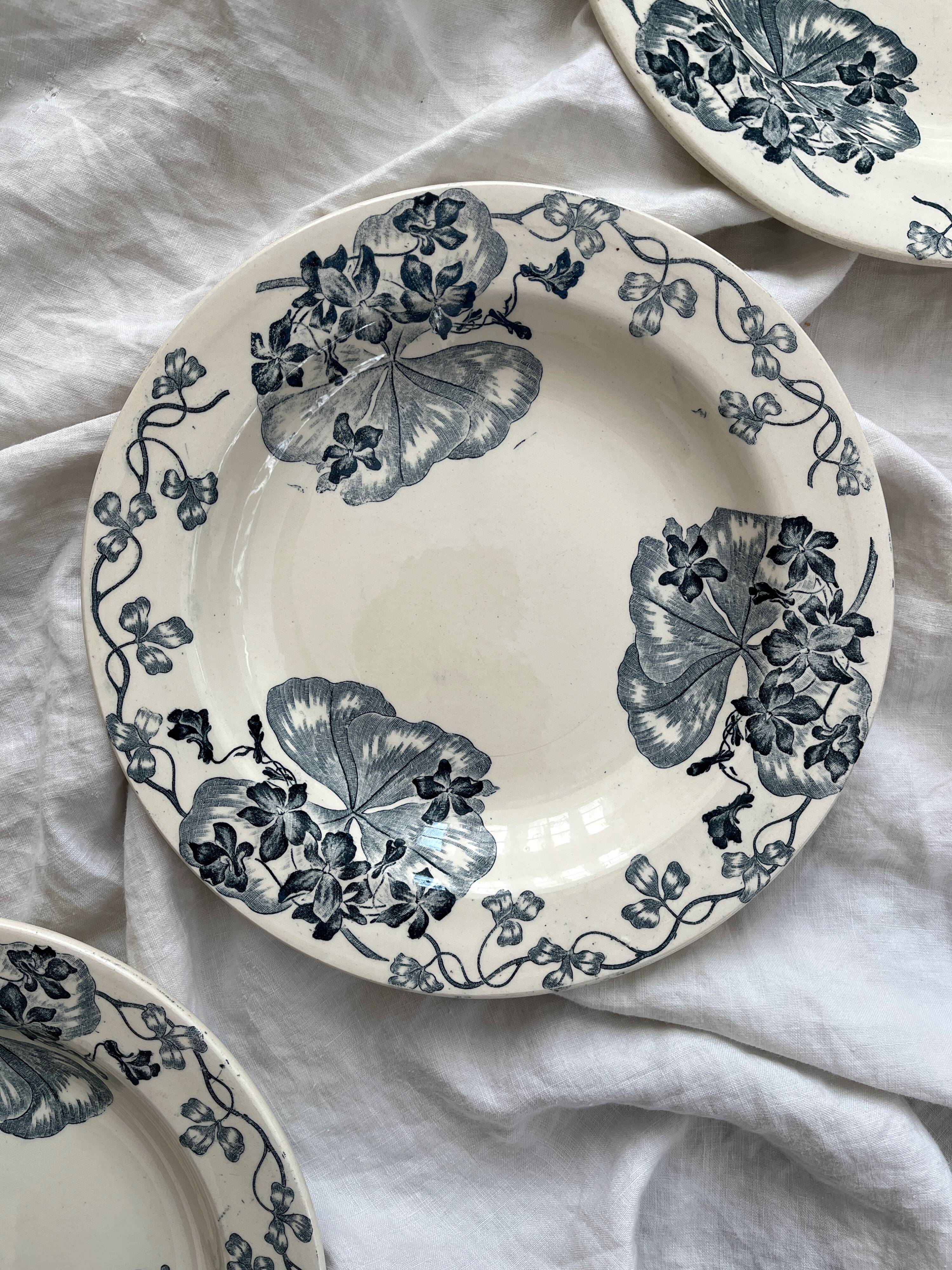 8 ironstone soup plates "Les Violettes" Salins